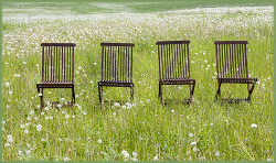 four empty chairs in a grassy field, all facing the same way