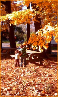 2 small children play in orange and yellow fall maple leaves. the taller child reaches to grasp a leaf while the smaller one has her hand on his back.