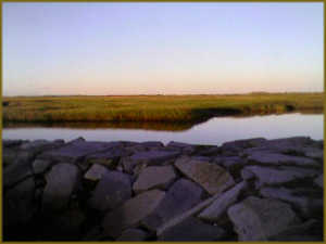 clear calm day looking across a rock breakwater into a salt marsh