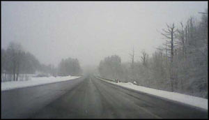 looking down a tree-lined road with fog and snow