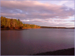 sunset in November, the sunlight coming through clouds onto evergreen trees on the far shore of a river which is reflecting the shades of gray, blue, and pink in the clouds