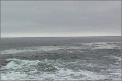 ocean and gray sky